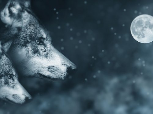 Nov 1 – North Bay :: Honouring The Wisdom of the Ancestors