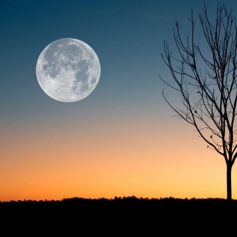 Full Moon Group Alchemy — Wednesday November 5, 7:30 PM