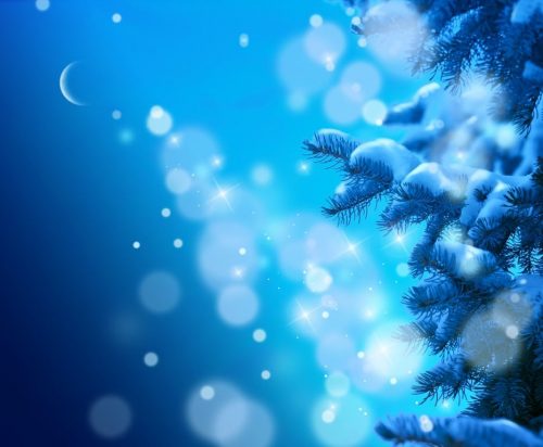 December 31 – January 2, 2022 :: New Moon, New Year Retreat