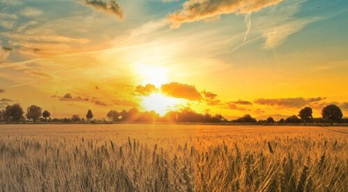 Jul 31 – Aug 3, 2026 :: Lammas – Celtic Wisdom Wheel Event